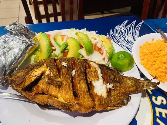 Taqueria Los Portales