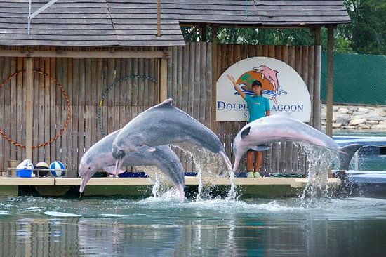 Underwater World and Dolphin Lagoon