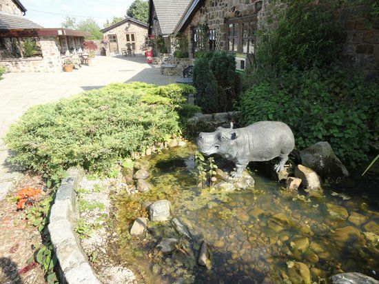Blackbrook Zoological Bird Park