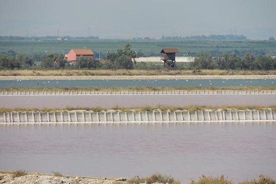 Pista Ciclabile Trinitapoli-Mare