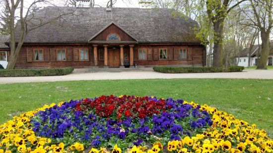 Pałac w Radziejowicach