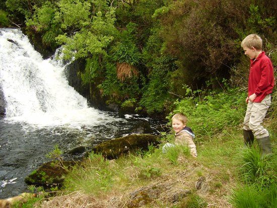 Waterfall Alpaca Farm