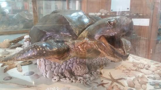 A. Sıdıka Erke Etnografya Müzesi