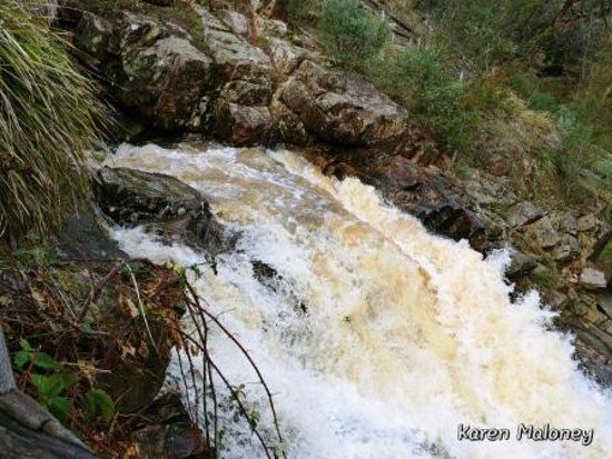 The Blowhole