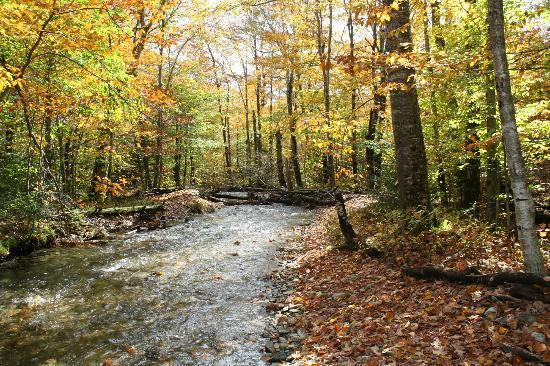 Smuggler's Notch State Park