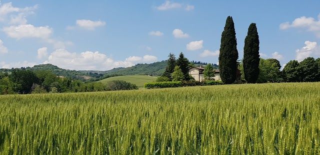 Park Gessi Bolognesi and Calanchi dell'Abbadessa