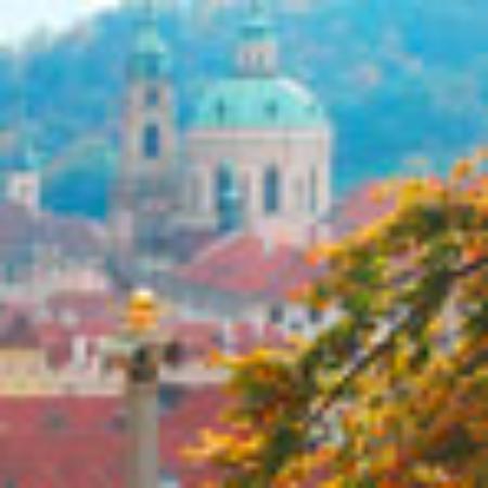 El Safawany Restaurant