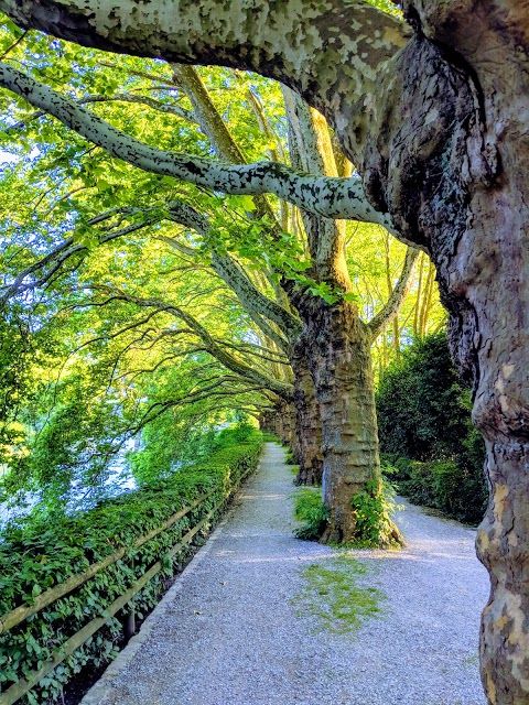 Sportanlage Sihlhölzli