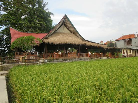 Tropical View Kitchen Bar Coffee