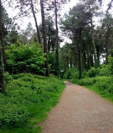 The Raven Nature Reserve