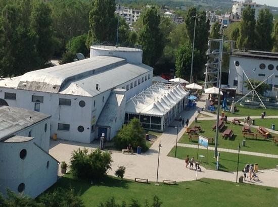 Pesce Azzurro Cattolica