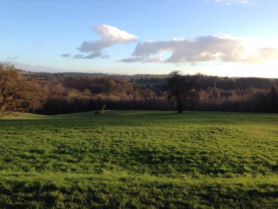 Barnetts Demesne