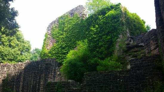 Schloss Waldeck