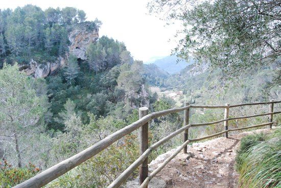 La Reserva Puig de Galatzo