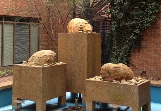 Uniwersytet Vanderbilta