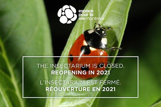Montreal Insectarium