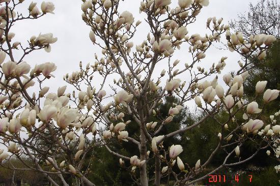 International Sculpture Park