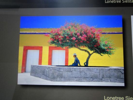 Tomas Spangler Photography Gallery