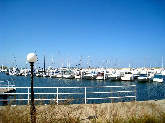 Washington Park Hayvanat Bahçesi