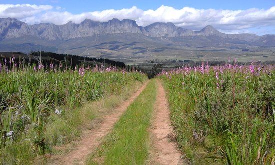 Helderberg Nature Reserve