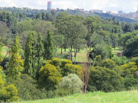 James & Ethel Gray Parkı