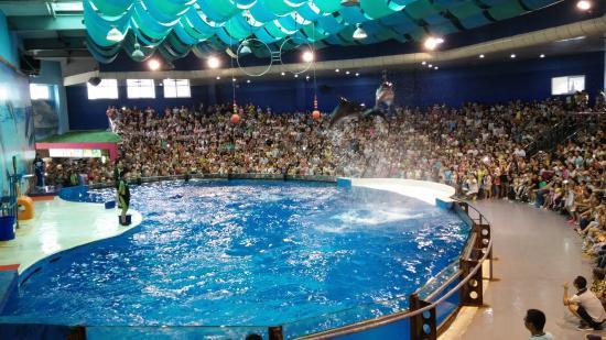 Nanjing Underwater World