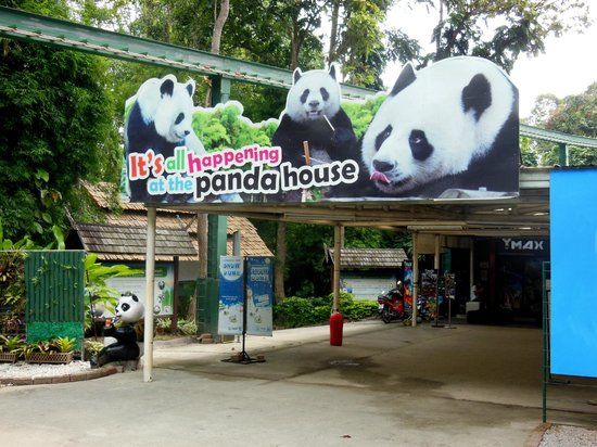Chiang Mai Zoo