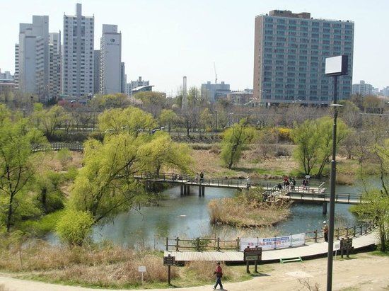 Yeouido Saetgang Eco Park