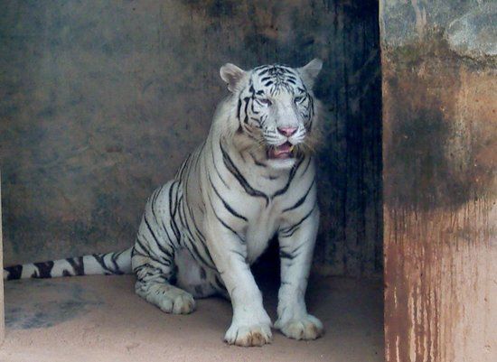 National Zoological Gardens of Sri Lanka
