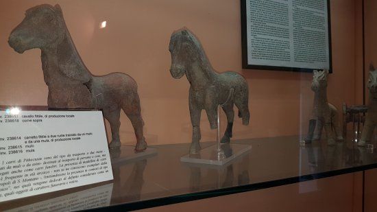 Archaeological Museum of Pithecusae