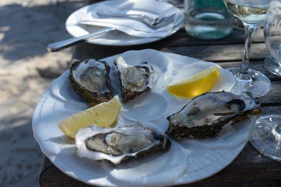 Dittmeyer's Austern-Compagnie