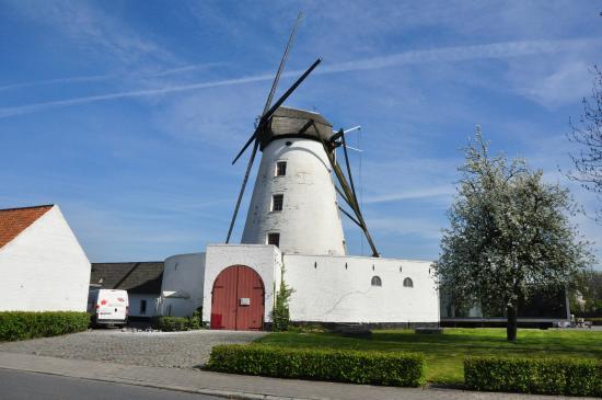 Vanneste Windmill