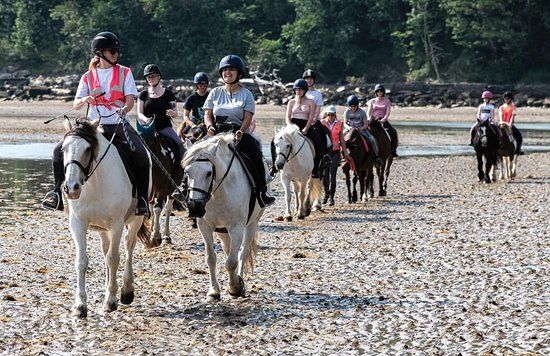 Sally's Riding School