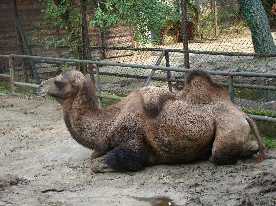 Miejski Ogród Zoologiczny w Łodzi