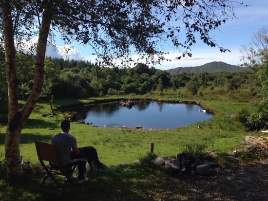 Gospodarstwo Blueberry Hill