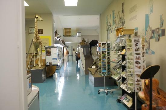 Natural History Museum