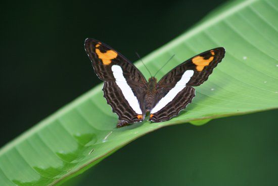 Basilica di Santa Sofia