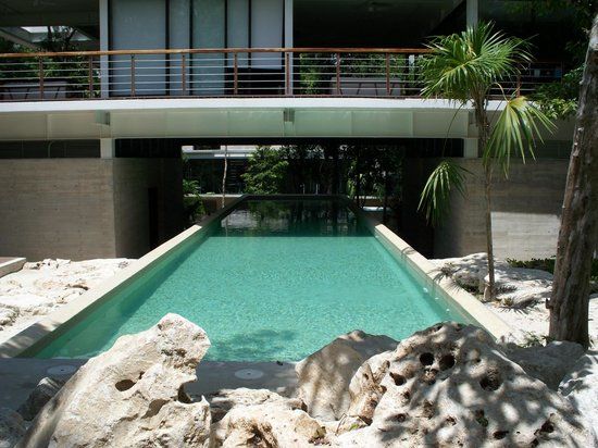 el TAO Wellness Center