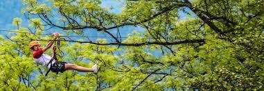 Parc Alsace Aventure