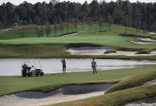 Disney's Osprey Ridge Golf Course