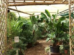 Farma Motyli