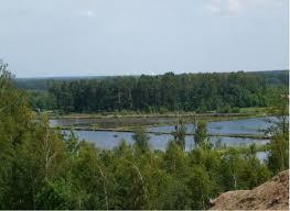 Camping łowisko Rokitnica