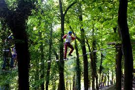 Majagreen Parco Avventura Caramanico Terme