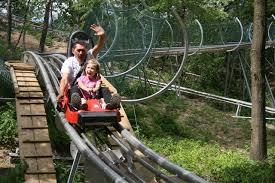 Sommerrodelbahn Scharmützelbob