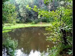 Biesak-Bialogon Nature Reserve