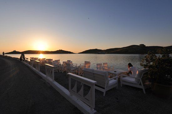 Vinylio Groovy Bistrot Bar