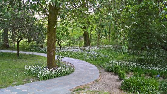 Wordsworth's Daffodil Garden