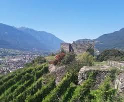 Strada del Vino della Valtellina