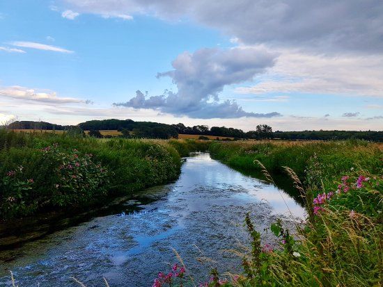 Conningbrook Lakes Country Park