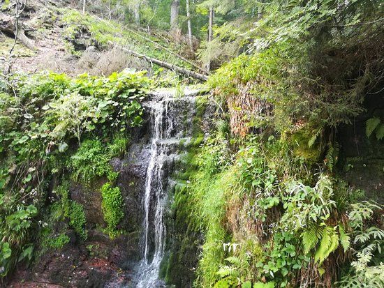 Sankenbachwasserfalle